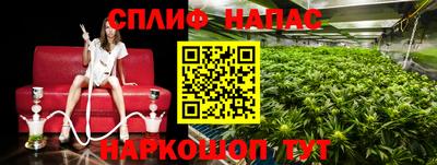 ПСИЛОЦИБИНОВЫЕ ГРИБЫ Заводоуковск