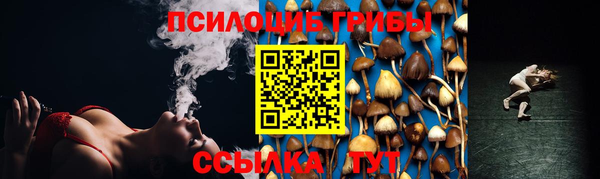 Псилоцибиновые грибы GOLDEN TEACHER  как найти закладки  Галлюциногенные грибы мицелий  Кушва  Вход с VPN 