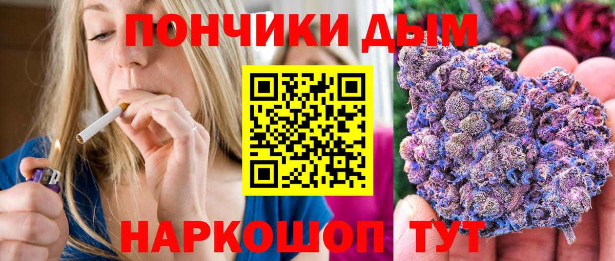 Кушва  МАРИХУАНА планчик  Бошки марихуана сатива  Вход с VPN 